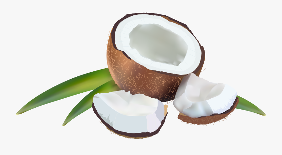 Coconut Png Clipart Background - Transparent Background Coconut Png, Transparent Clipart