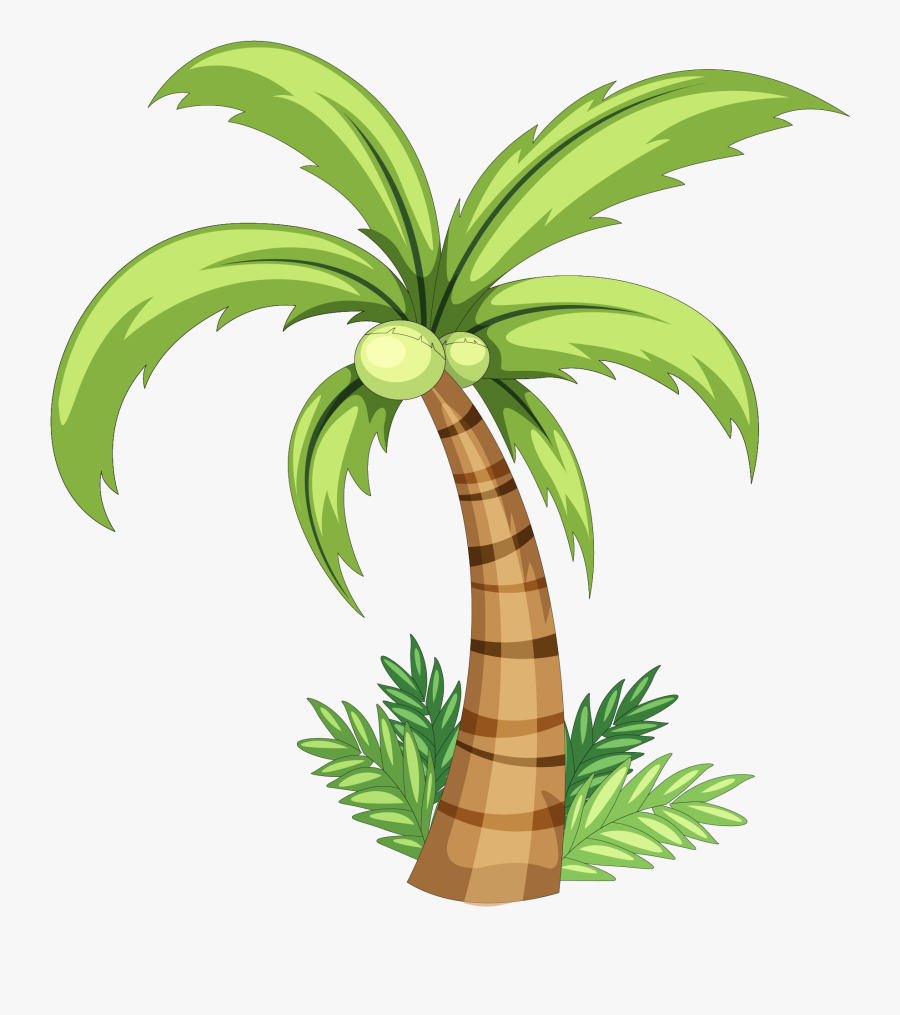 Coconut Drawing Clip Art - Easy Coconut Tree Drawing, Transparent Clipart