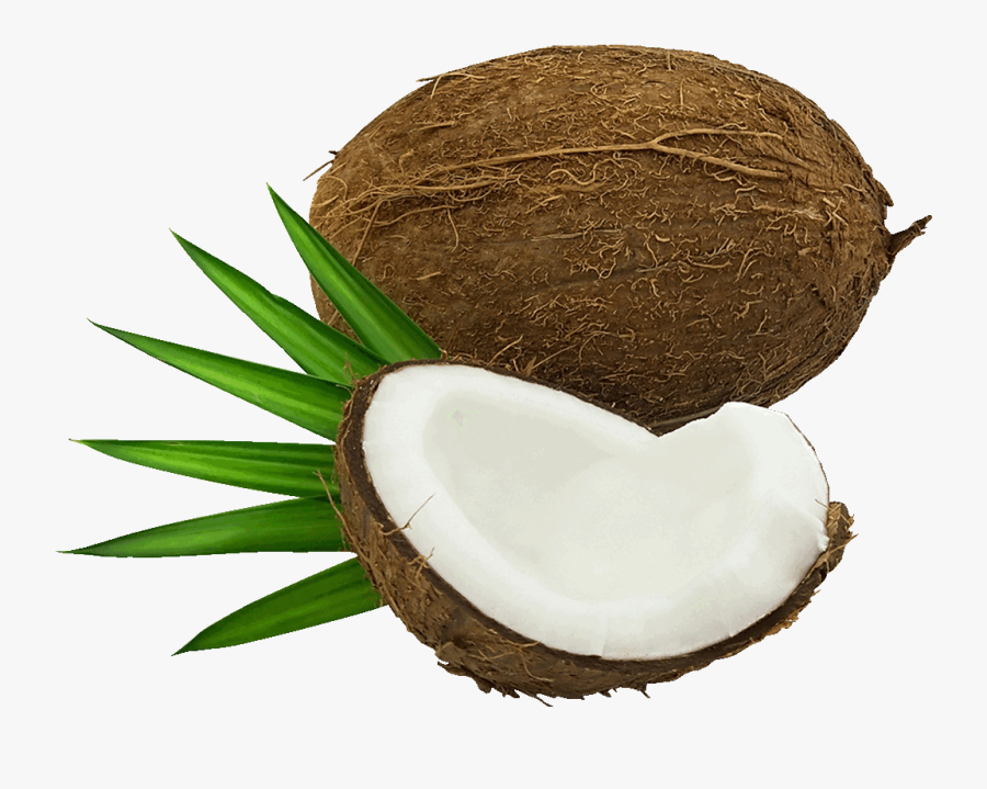 Images Nurses - Cocos Fondo Transparente, Transparent Clipart