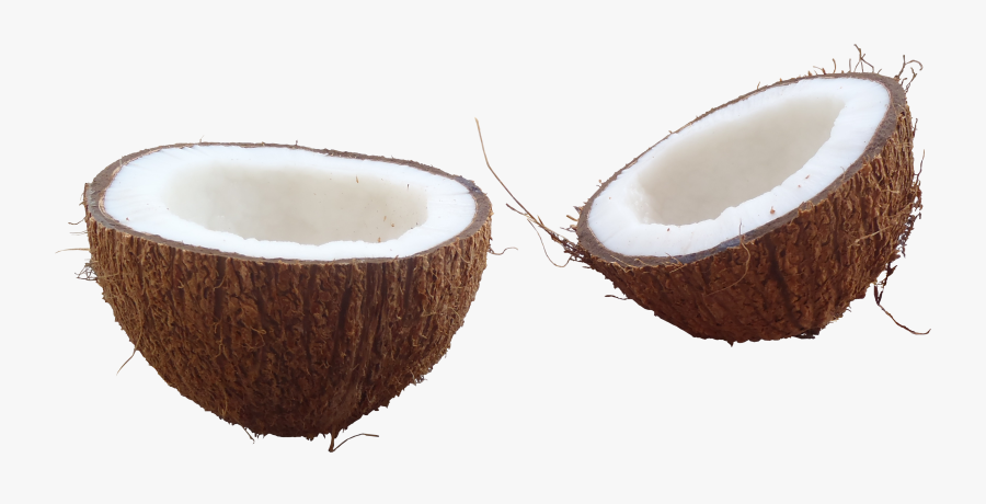 Download Coconut Free Png Photo Images And Clipart - Half Coconut Png, Transparent Clipart