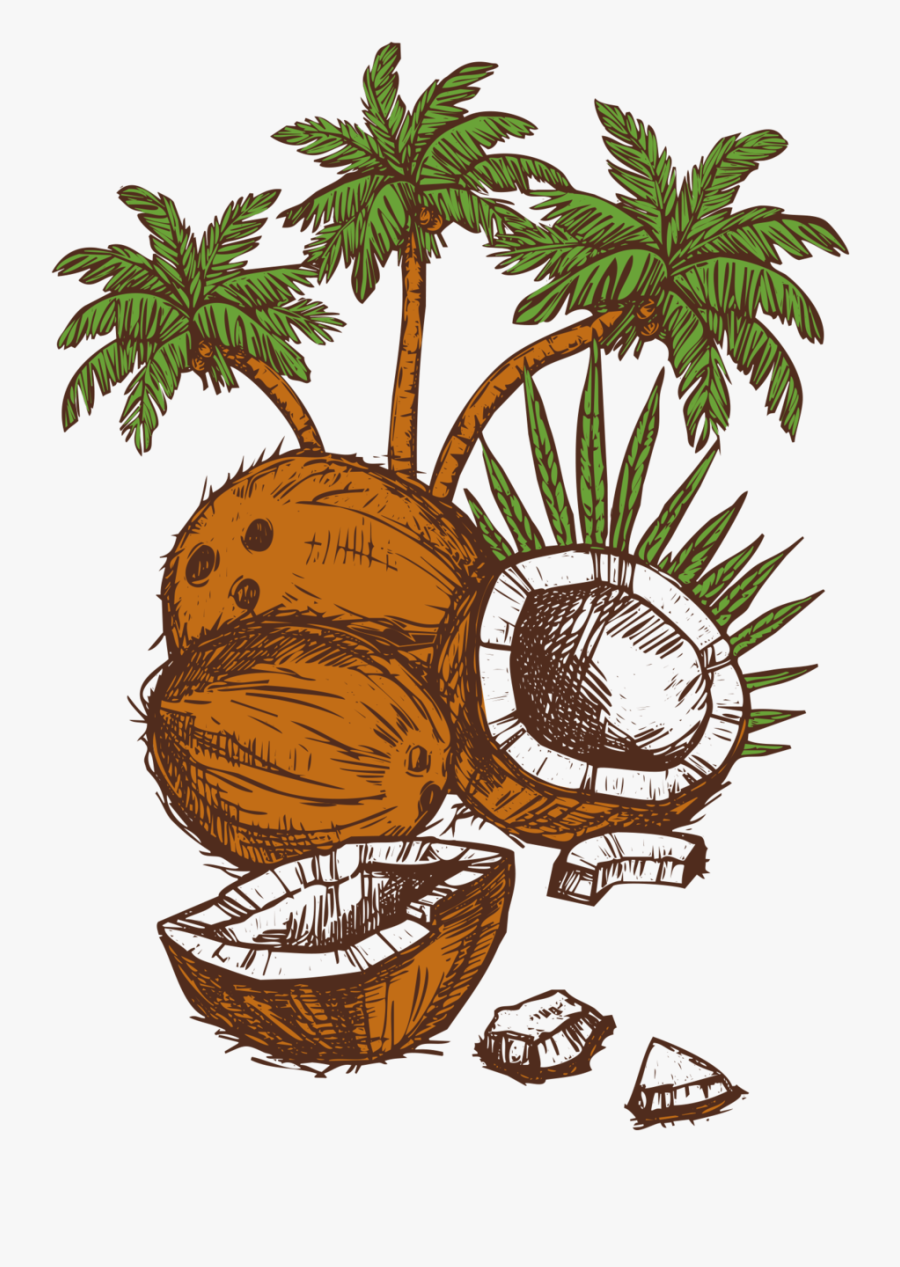 Illustration, Transparent Clipart