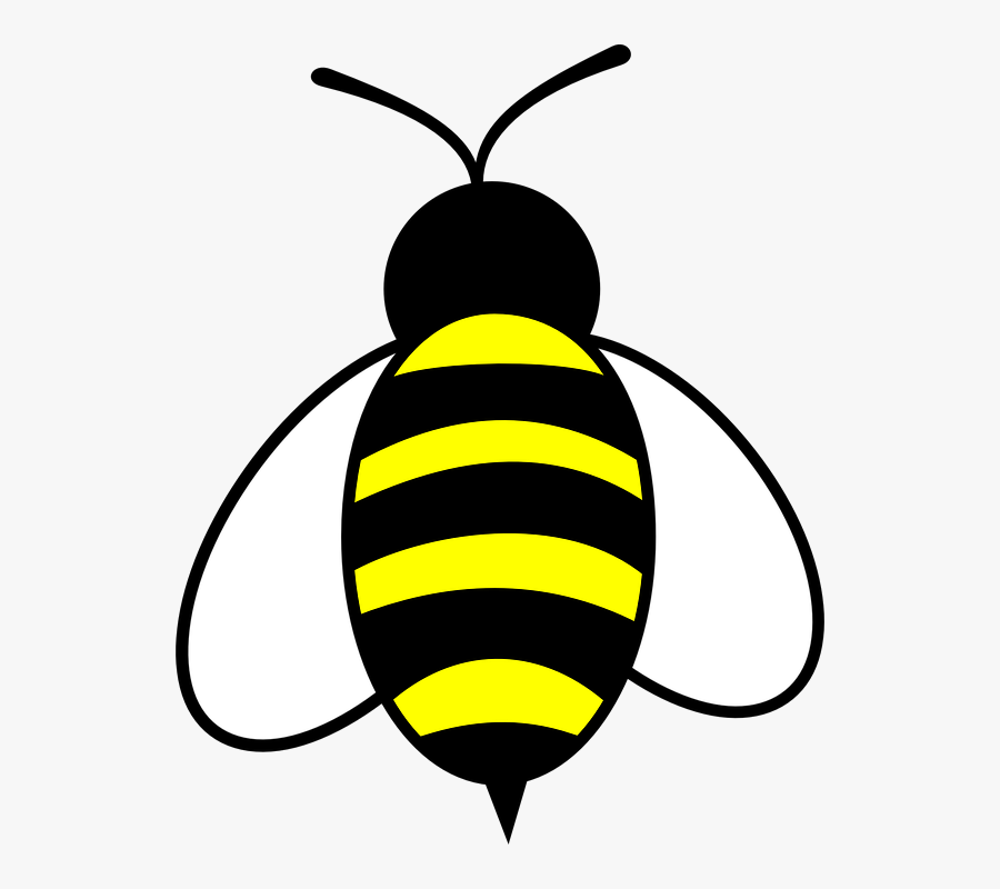 Bee Flying Vector Honey Transparent Clipart Free Ya - Clip Art Bumble Bee, Transparent Clipart