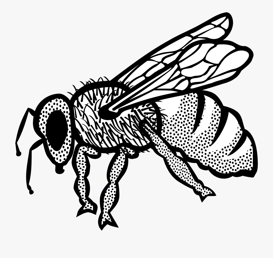 Honey Bee Clip Art, Transparent Clipart