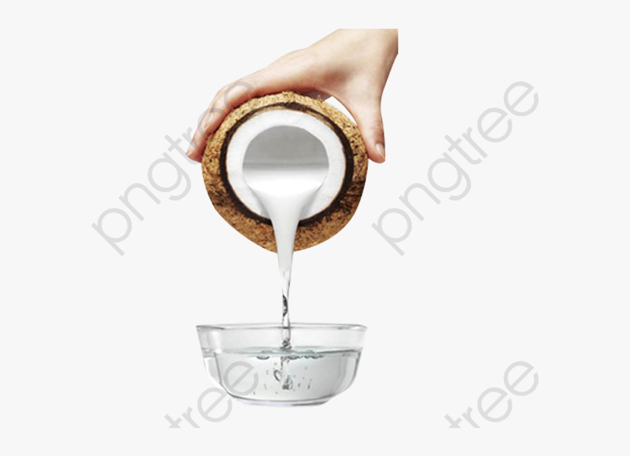 Free To Pull Clear - Benefits Of Eating Coconut, Transparent Clipart