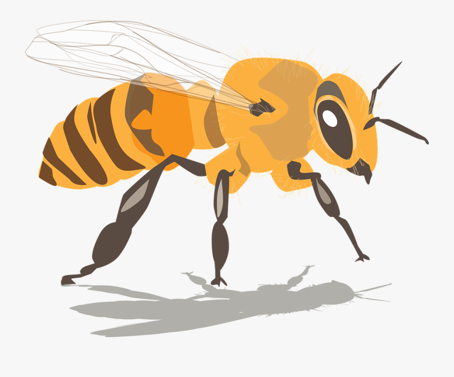 Honey Bee Illustrations 22, Buy Clip Art - Imagenes De Abejas Png, Transparent Clipart