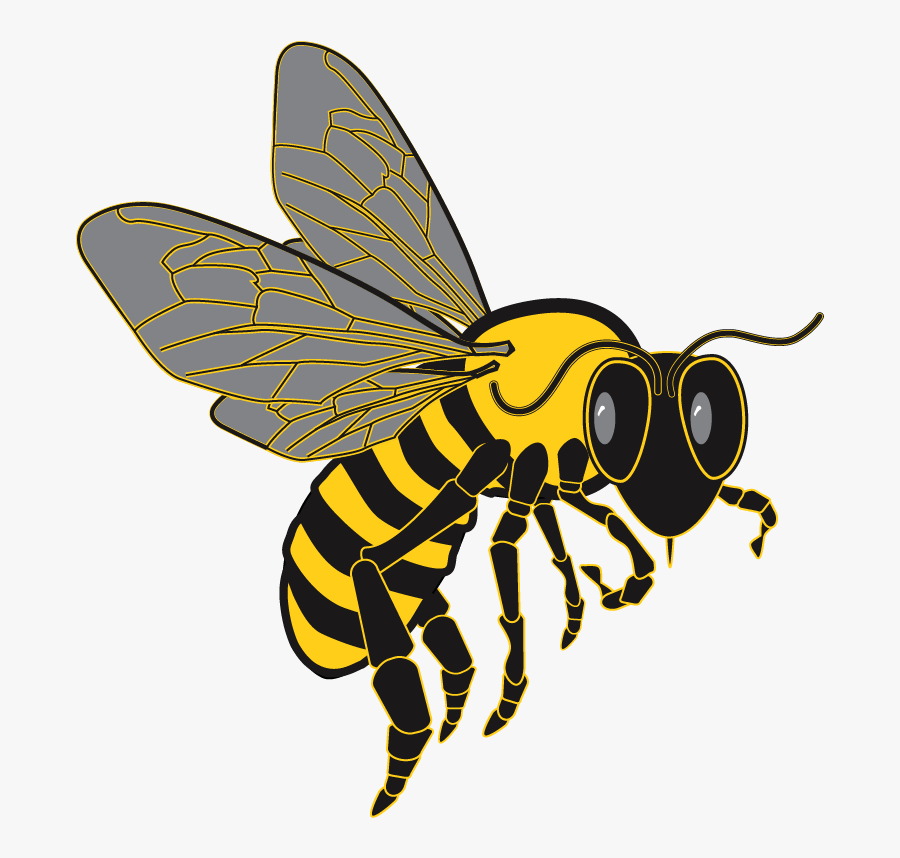 Bee Graphic From Clip Art Package - Bee Graphic, Transparent Clipart