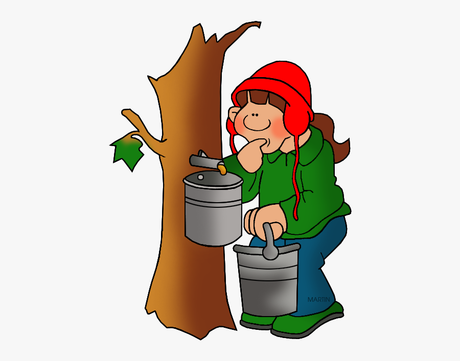 West Virginia State Tree - Maple Syrup Clip Art, Transparent Clipart