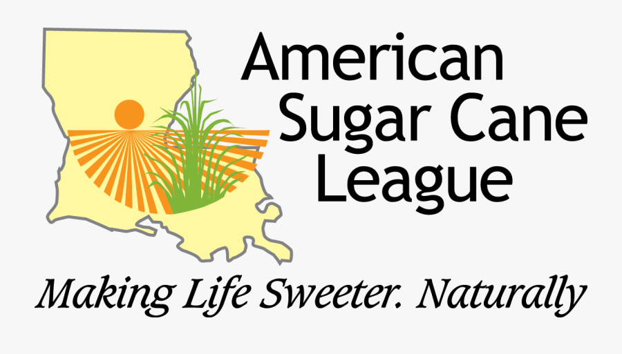 Ti America, Transparent Clipart