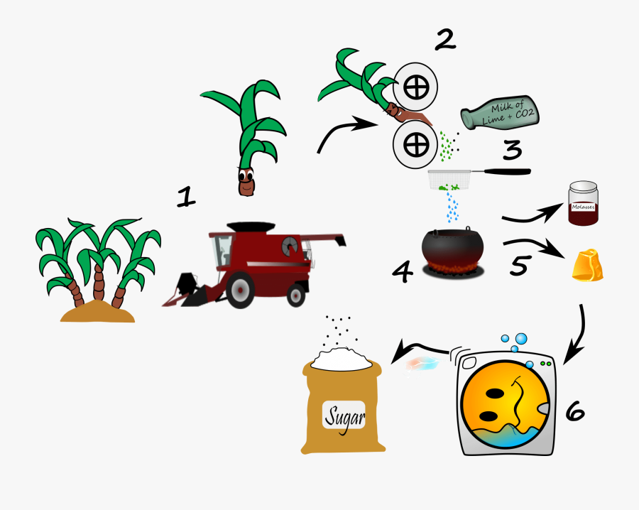 Clip Art, Transparent Clipart