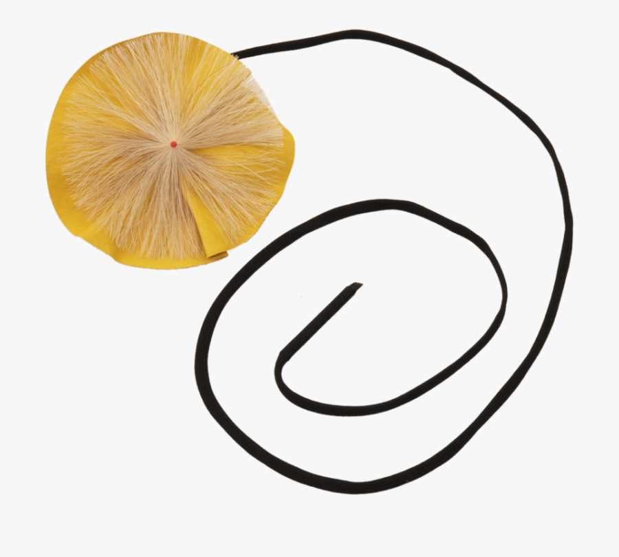 Circle, Transparent Clipart