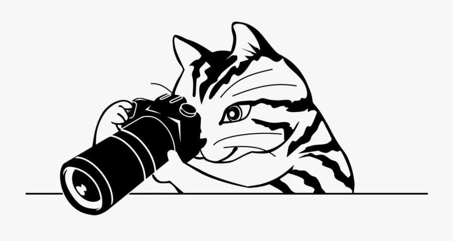 Photographer, Telephoto Lens, Cat, Coverage, Camera - Photography Clipart Black And White, Transparent Clipart