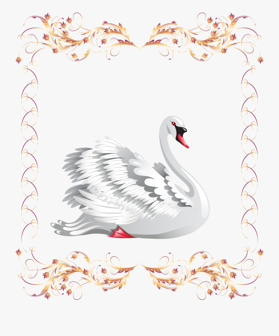 Banner Black Photography Clip Art Beautiful - Cisnes De Boda Png, Transparent Clipart