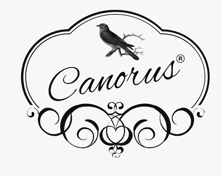 Abe's Cake Swindon, Transparent Clipart