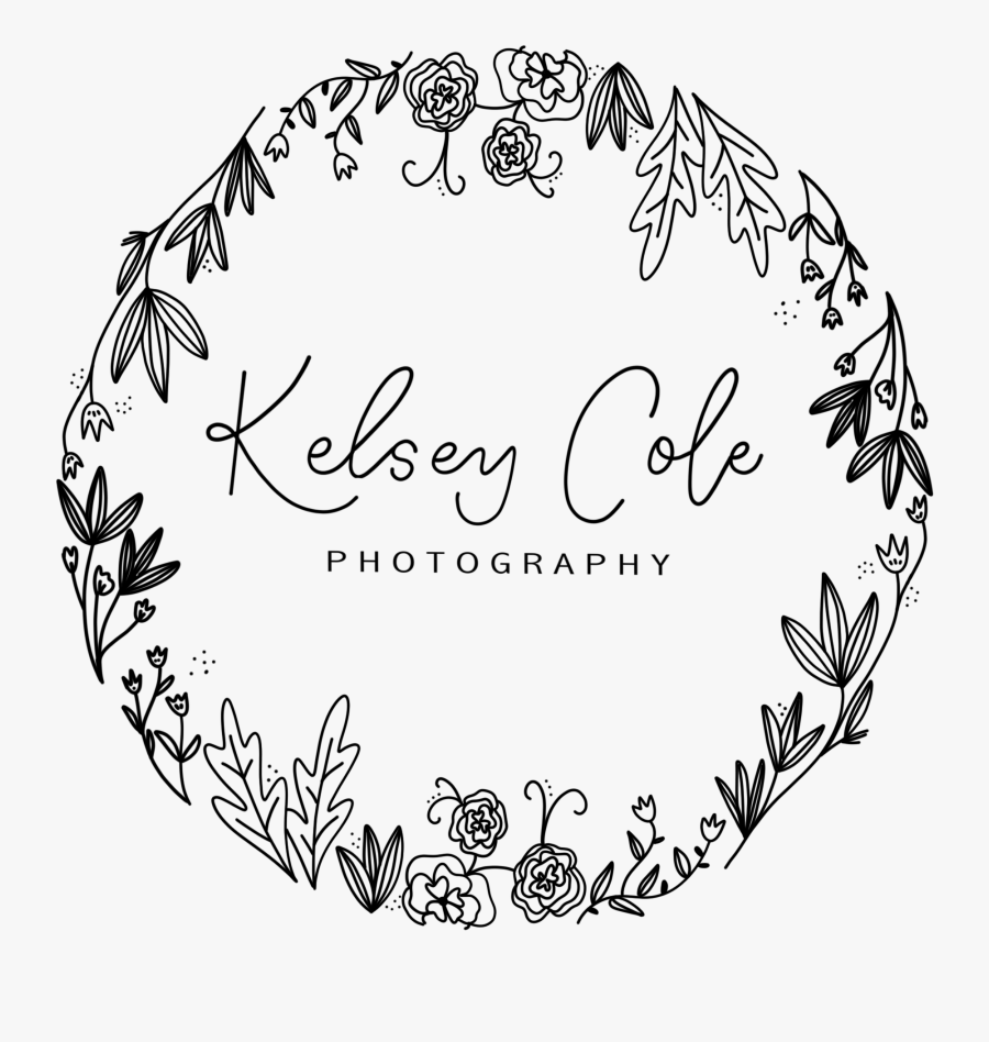 Circle, Transparent Clipart