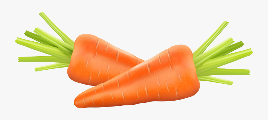 Carrot Photography Euclidean Vector Clip Art - Carrot Clipart Png, Transparent Clipart