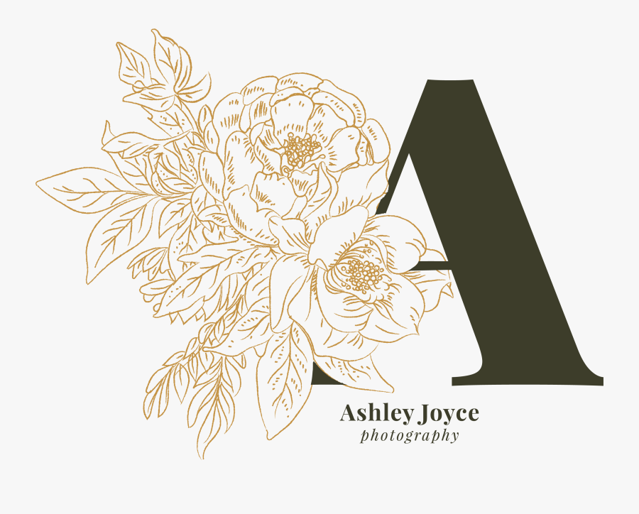 Garden Roses, Transparent Clipart