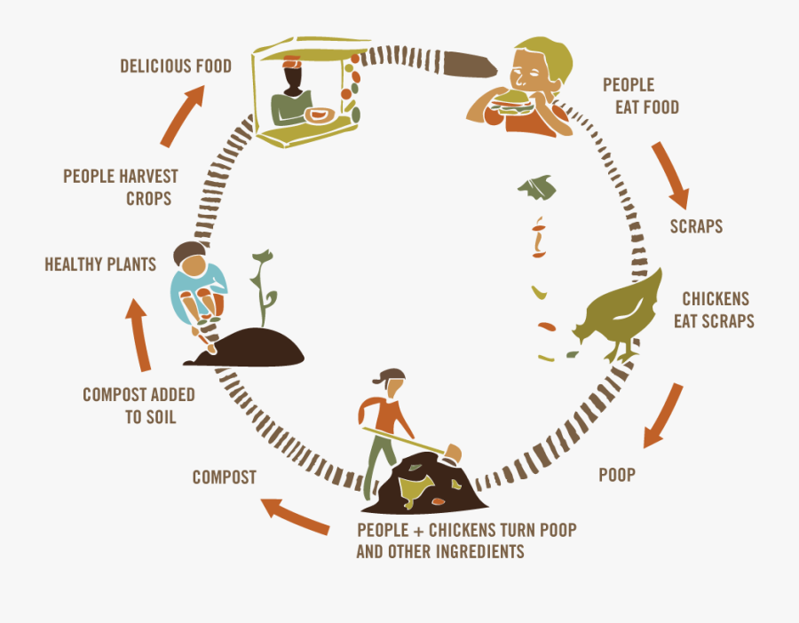 Animals In The Compost Cycle - Matter Cannot Be Created Or Destroyed, Transparent Clipart