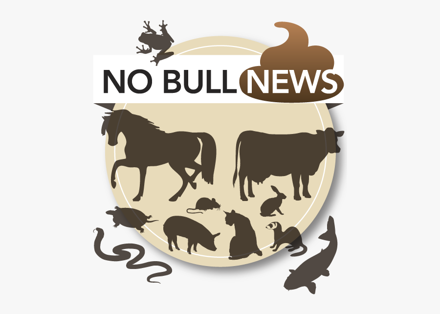 Icon Pink Horse, Transparent Clipart