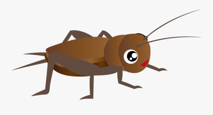 Cricket Clipart Png - Cricket Insect Clipart, Transparent Clipart