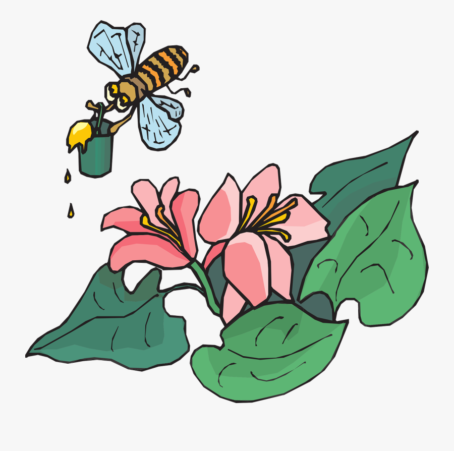 Bee Flying Insects - Drawn Flowers, Transparent Clipart