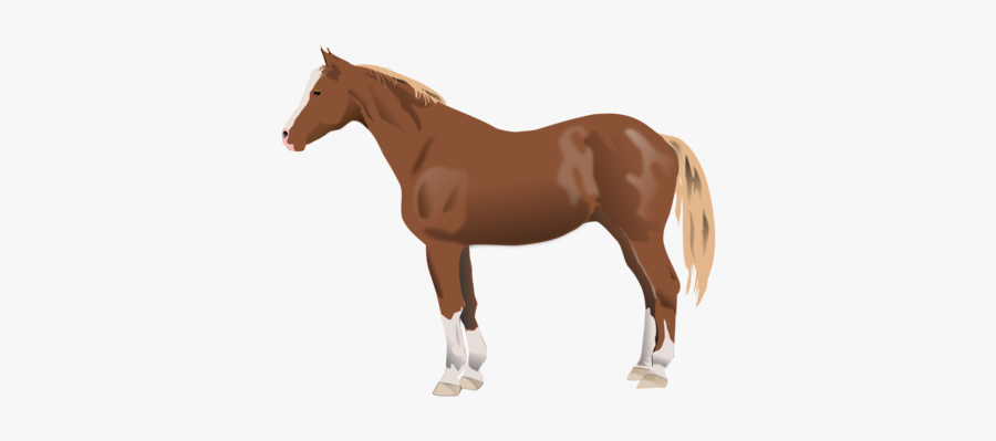 Brown Horse - - Horse Side Profile Clipart, Transparent Clipart