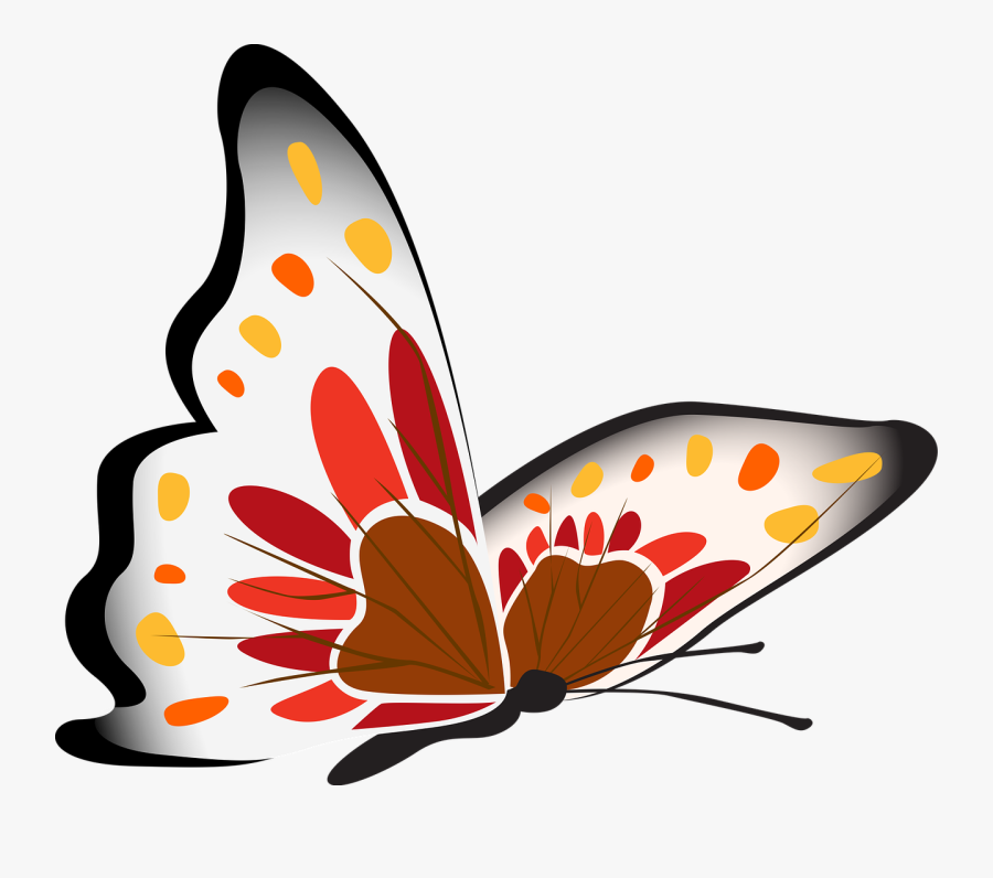 Butterfly White Red Free Picture - Art Kupu, Transparent Clipart
