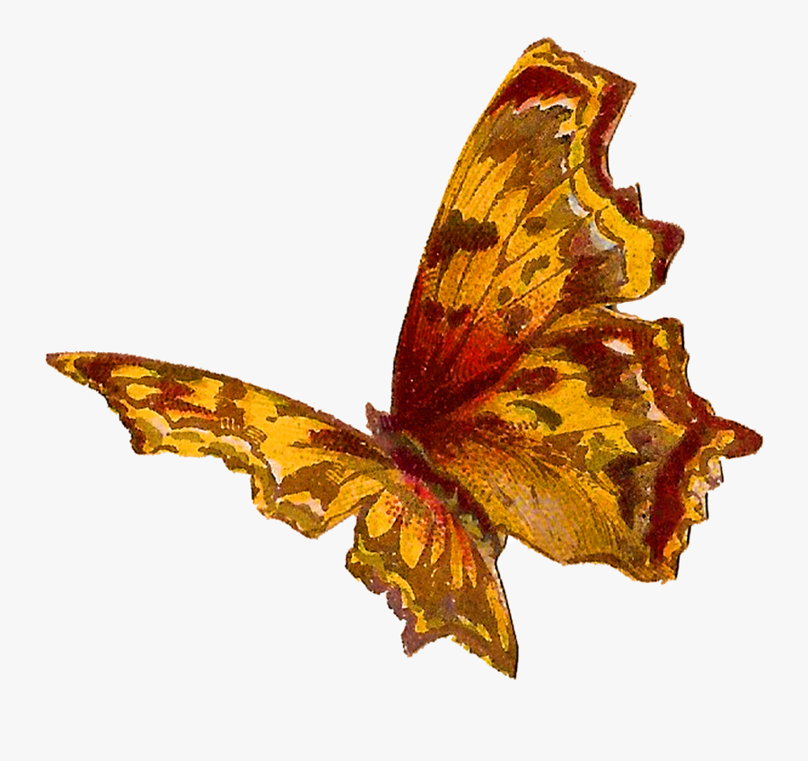 Butterfly Insect Image Bug Clipart Illustration Artwork - Transparent Butterfly Orange Yellow, Transparent Clipart