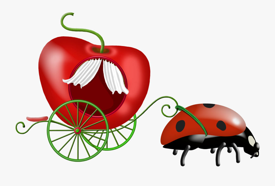 Ladybug Cartoon Insect Images Free To Copy For Your, Transparent Clipart