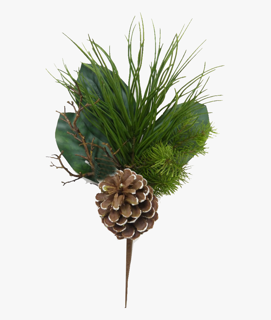 Mixed Evergreen Pick With Pinecones - Conifer Cone, Transparent Clipart