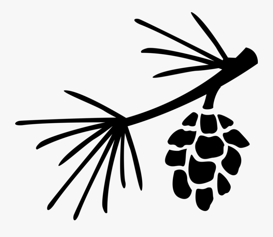 Vector Illustration Of Botanical Horticulture Plant - Silhouette Of Pine Cone, Transparent Clipart