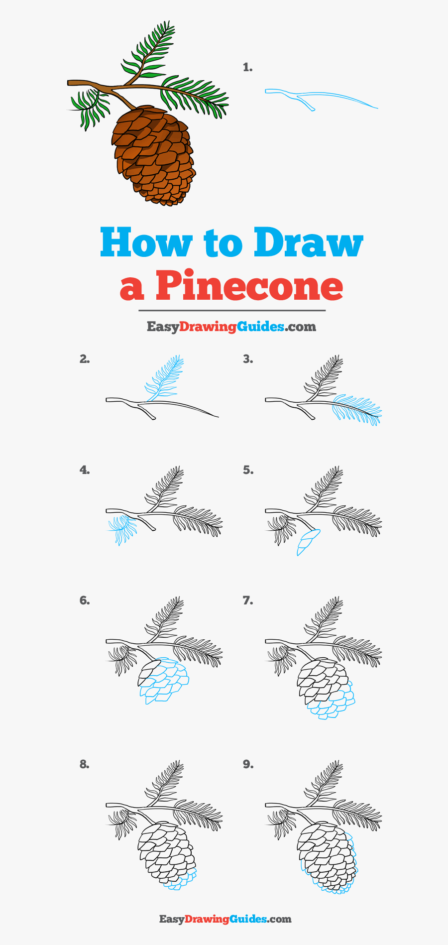 How To Draw Pinecone - Line Art, Transparent Clipart