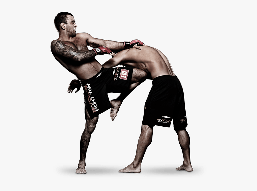 Mixed Photo Vector Clipart - Mixed Martial Arts Png, Transparent Clipart