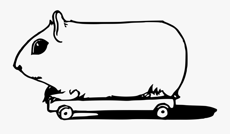 Skateboarding Guinea Pig Clip Arts - Guinea Pig Transparent Icon, Transparent Clipart