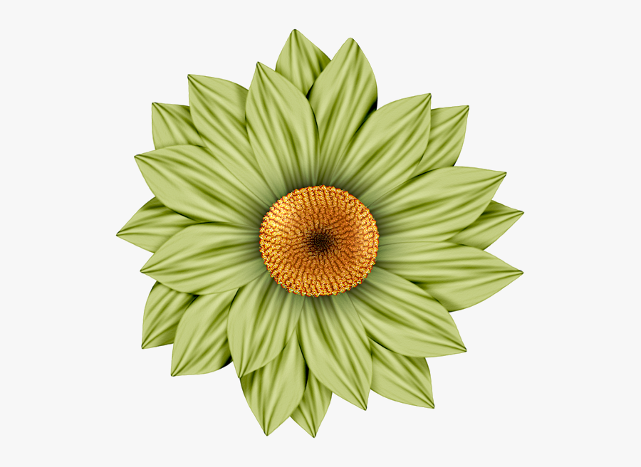Picasa Web Albums Flower Crafts, Flower Art, Decoupage - Flowers Brown Clip Art, Transparent Clipart