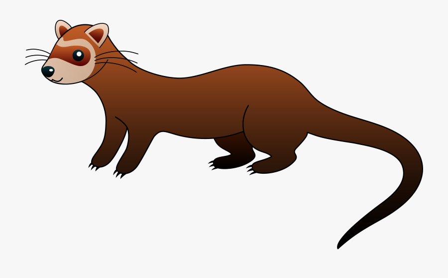 Black-footed Ferret Hamster Clip Art - Ferret Clipart, Transparent Clipart