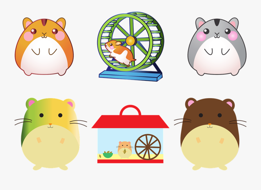 Hamster, Pet, Mouse, Cage, Hamster Wheel, Creature - Hamster, Transparent Clipart