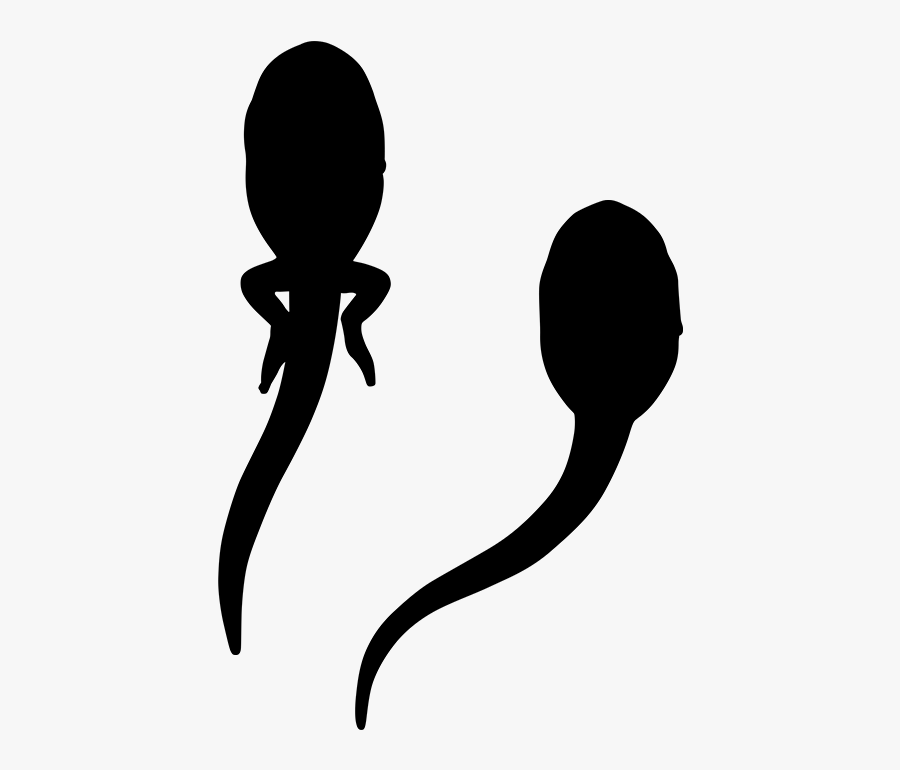Line Silhouette Free Frame Clipart - Silhouette, Transparent Clipart