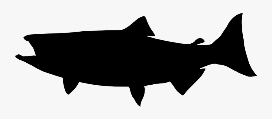 Salmon Png - Salmon, Transparent Clipart