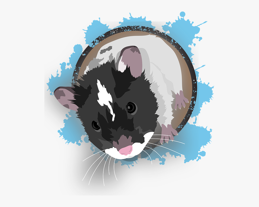 Hamster, Transparent Clipart