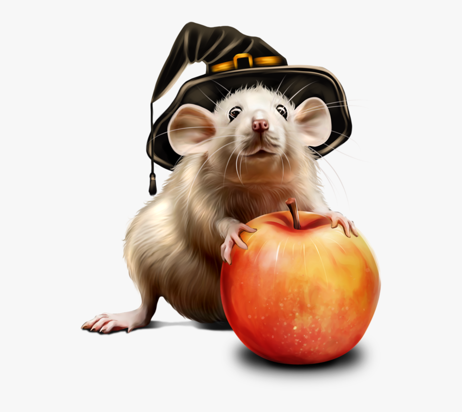 Tubes Halloween Centerblog, Transparent Clipart