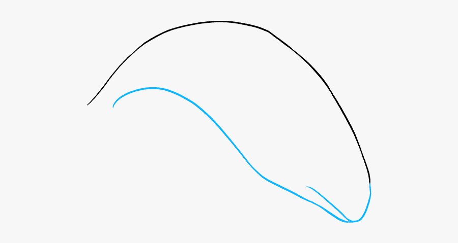 How To Draw Orca - Line Art, Transparent Clipart