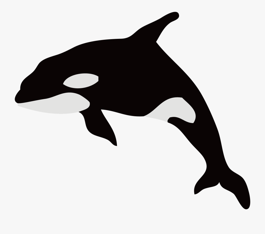 Dolphin Killer Whale Illustration Whales Silhouette - Free Clipart Whale Silhouette, Transparent Clipart