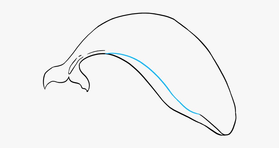 How To Draw Orca - Sketch, Transparent Clipart
