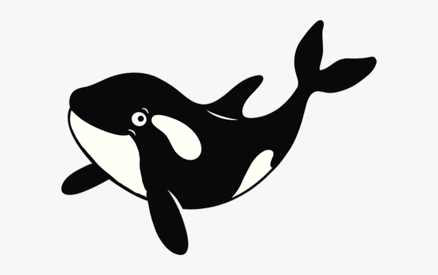Killer Whale, Transparent Clipart