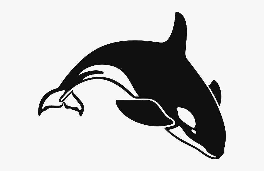 Orca Clipart Transparent - Killer Whale Clipart Black And White, Transparent Clipart