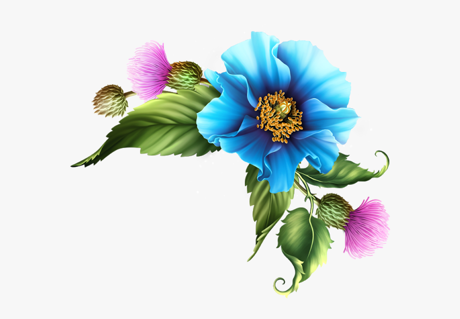 Salaf, Transparent Clipart