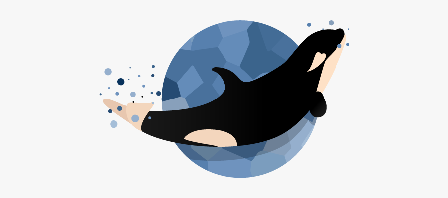 Happy Baby Orca Illustration Vector Whale Orca Baby - Vector Orca Art Png, Transparent Clipart
