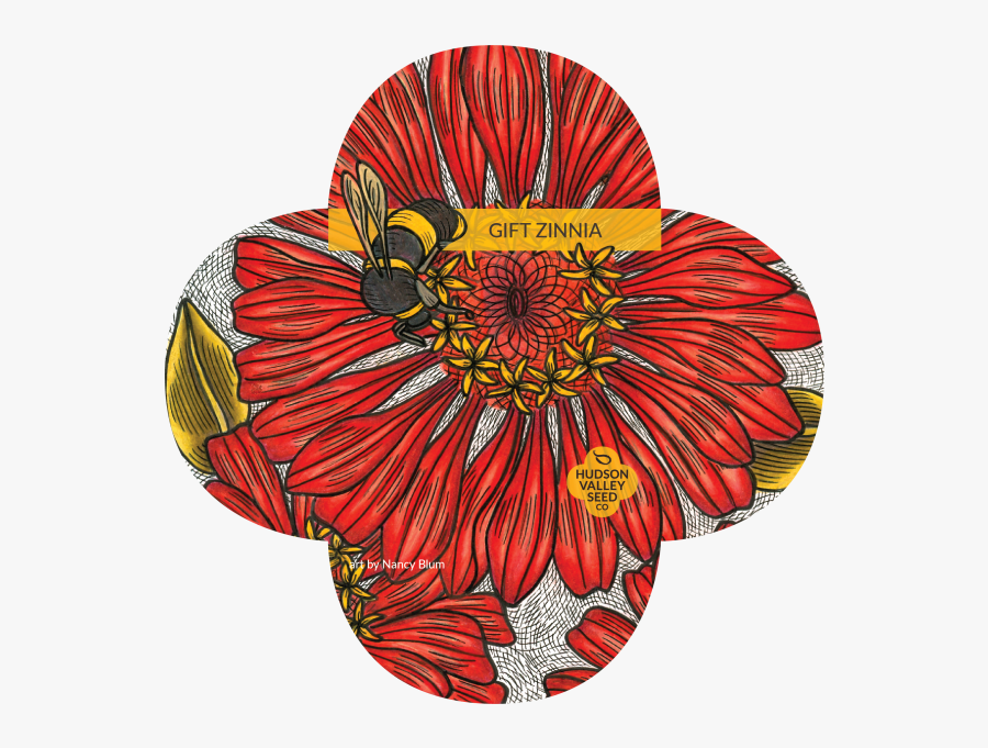 Gift Zinnia Quatrefoil - Seed, Transparent Clipart