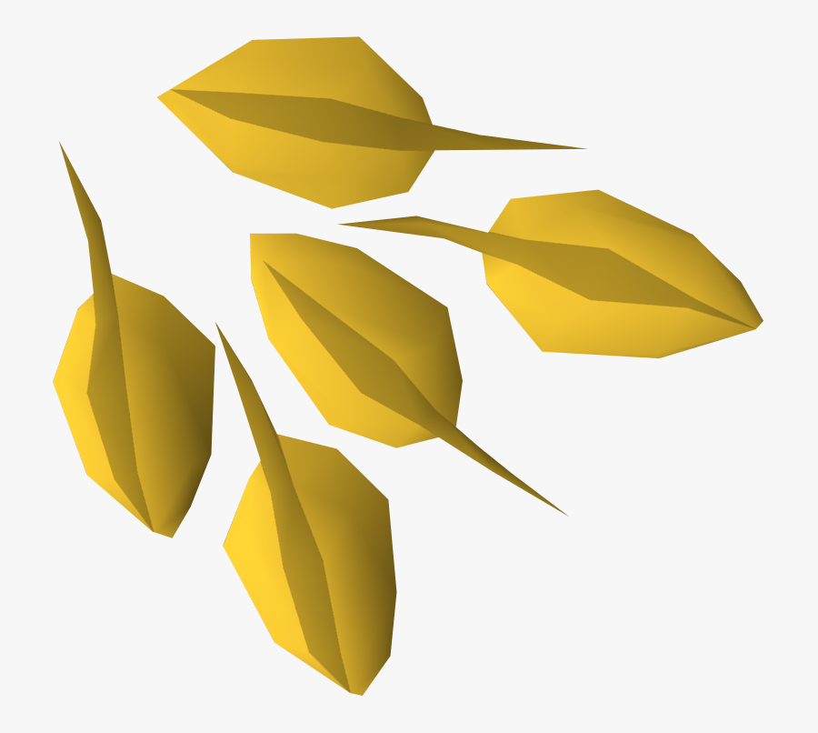 Download Seed Png Hd - Seed, Transparent Clipart