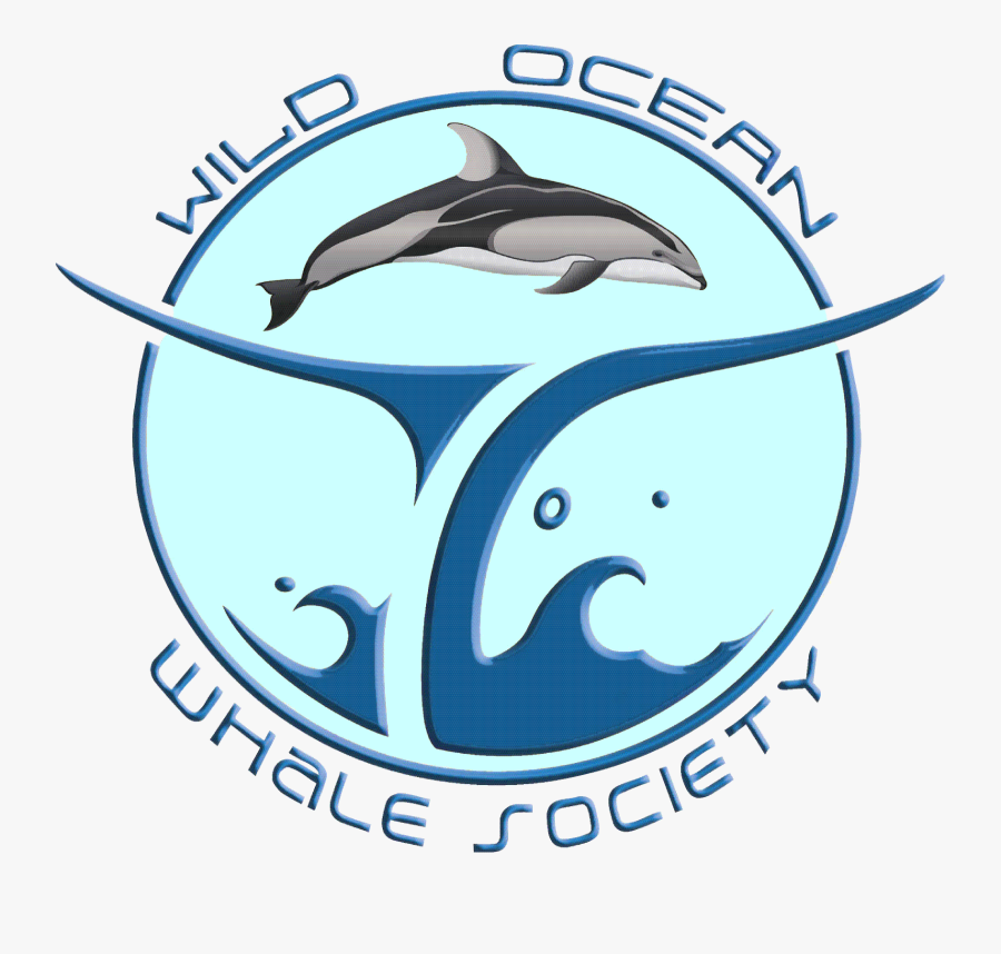 Cetaceans, Transparent Clipart